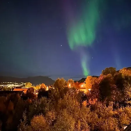 Spacious Perfect For Aurora Spotting, Free Parking Villa